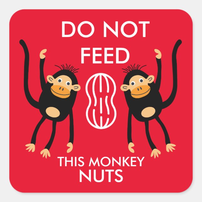 Kids Nut Allergy Warning Square Sticker (Front)