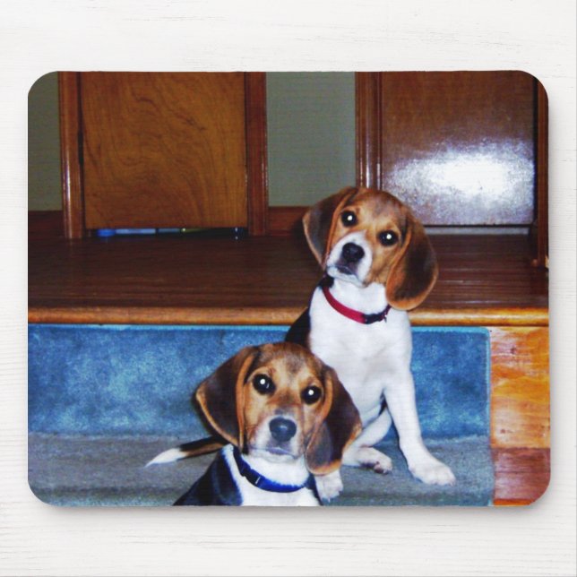 Kids on Stairs Mouse Pad (Front)