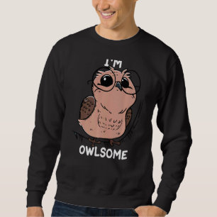 Kids Owl Girls Boys Pun Joke Bird I'm Owlsome Sweatshirt