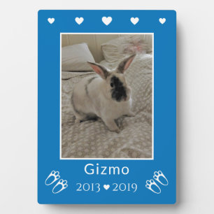 Kids Pet Bunny Rabbit Loss   Blue Photo Memorial Plaque