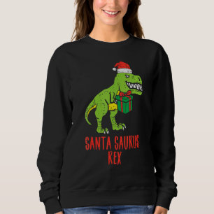 Kids Santa Saurus Rex Dino Kids Xmas Toddler Boys Sweatshirt