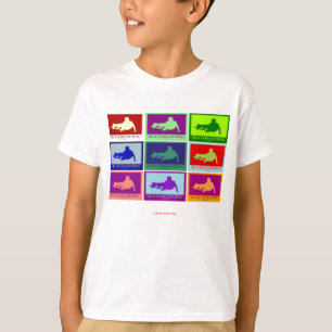 KIDS TEE SHIRTS - SKATEBOARDING - SHREDDING GEAR