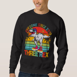 Kids Three Rex 3rd Birthday Boy Third Dinosaur Awe Sweatshirt