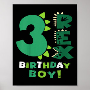Kids Three Rex Birthday Boy 3rd Birthday Dinosaur  Poster