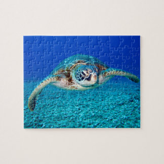 Kids underwater 110 pieces Sea turtle Jigsaw Puzzl Jigsaw Puzzle
