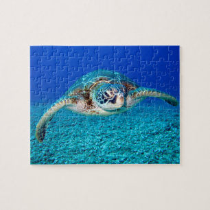 Kids underwater 110 pieces Sea turtle Jigsaw Puzzl Puzzle