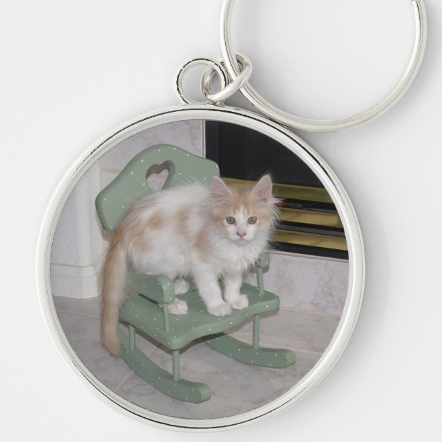 Kiera and Kittens 8_2008 031 Key Ring (Front)