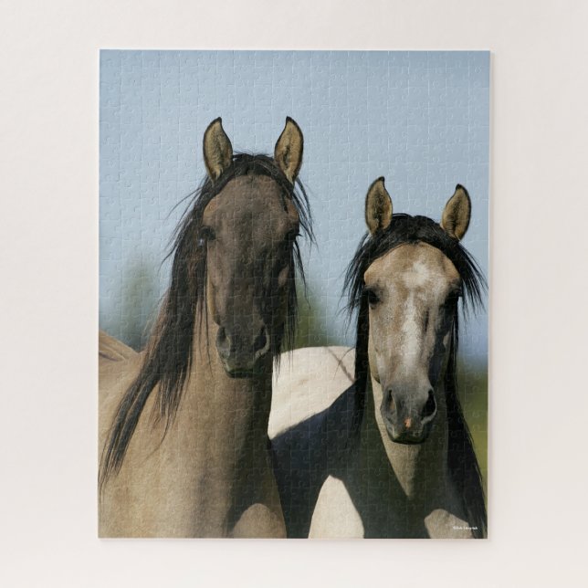 Kiger Mustang Horses Standing Headshots Jigsaw Puzzle (Vertical)