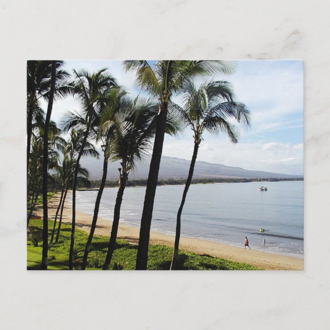Kihei Maui Hawaii beach Palms Holiday Postcard (Front)
