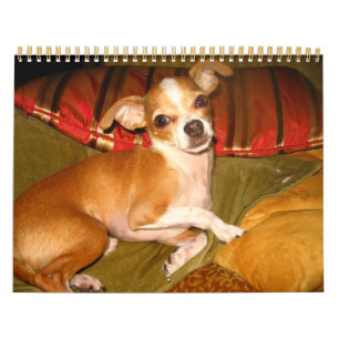 kiko calendar
