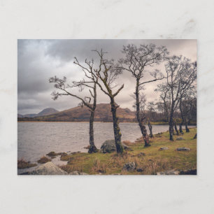 Kilchurn Castle on Loch Awe shoreline Holiday Postcard