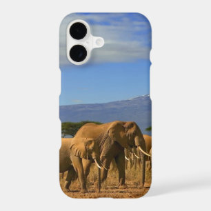 Kilimanjaro And Elephants