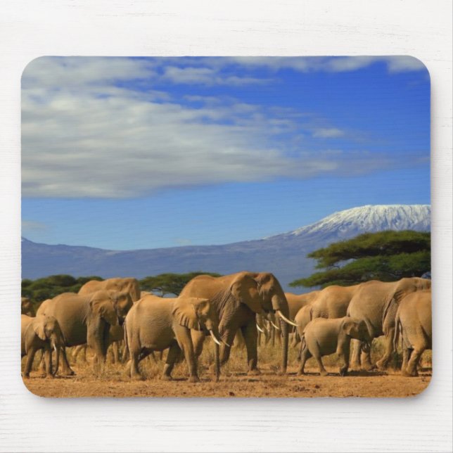 Kilimanjaro And Elephants Mouse Pad (Front)