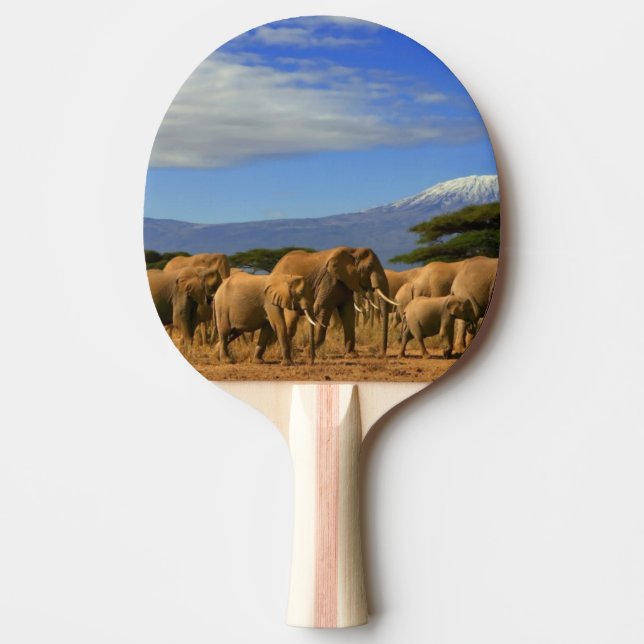 Kilimanjaro And Elephants Ping Pong Paddle (Front)