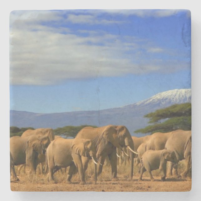 Kilimanjaro And Elephants Stone Coaster (Front)