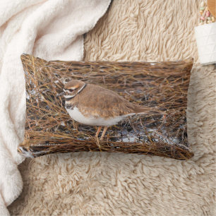 Killdeer in the Freezing Mudflats Lumbar Cushion