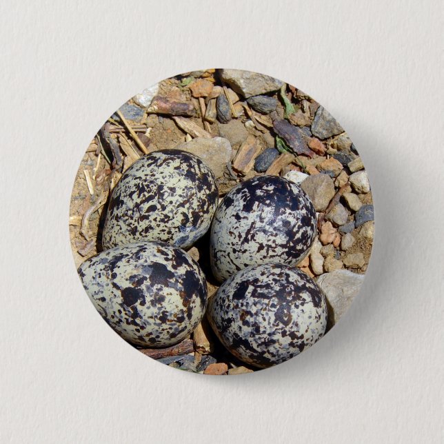 KillDeer Nest With Eggs 6 Cm Round Badge (Front)