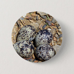 KillDeer Nest With Eggs 6 Cm Round Badge