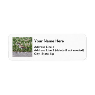 Killdeer Return Address Label
