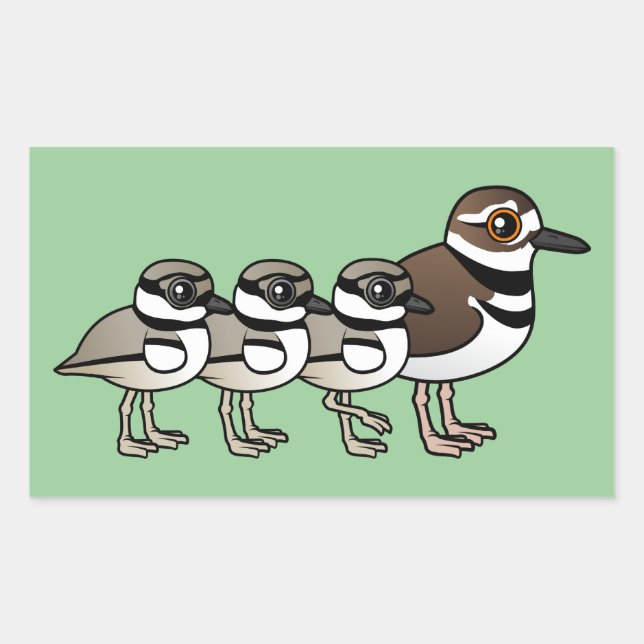 Killdeer & three chicks rectangular sticker (Front)