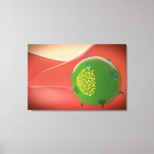 Killer Cell Of The Innate Immune System Canvas Print