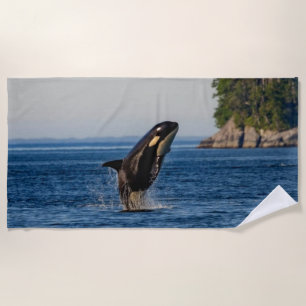 Killer Whale Breaching out of Ocean Water Beach Towel