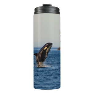 Killer Whale Breaching out of Ocean Water Thermal Tumbler