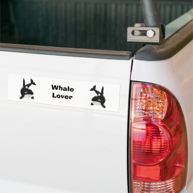 Killer Whale Bumper Sticker (On Truck)