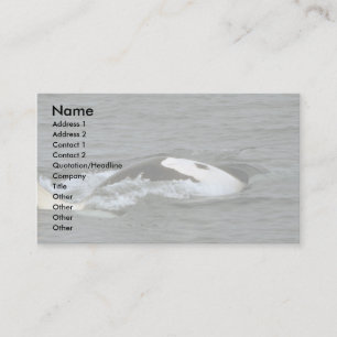 Killer whale business card