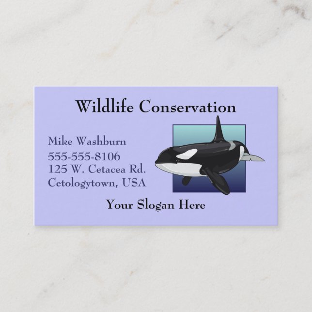 Killer Whale Business card (Front)
