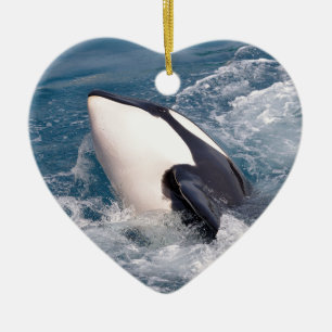Killer whale ceramic tree decoration