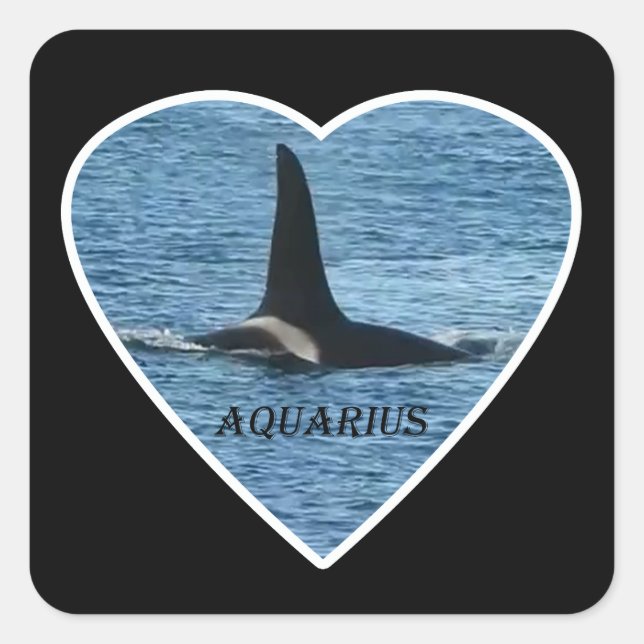 Killer Whale Fin "Aquarius" Orca  Square Sticker (Front)