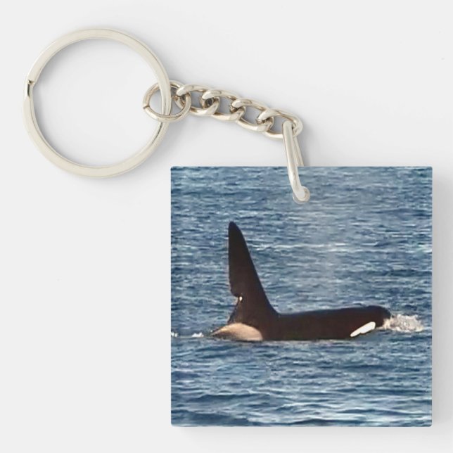 Killer Whale "John Coe" & "Aquarius" Orca Key Ring (Front)