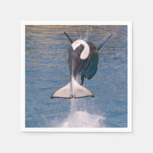 Killer whale jumping out of water napkin