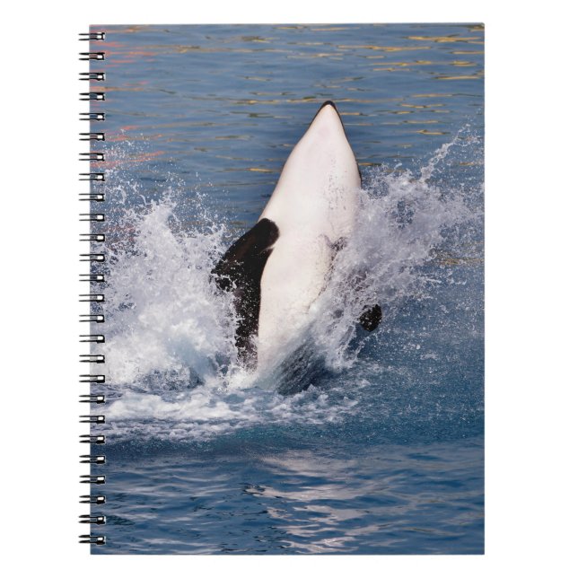 Killer whale jumping out of water notebook (Front)