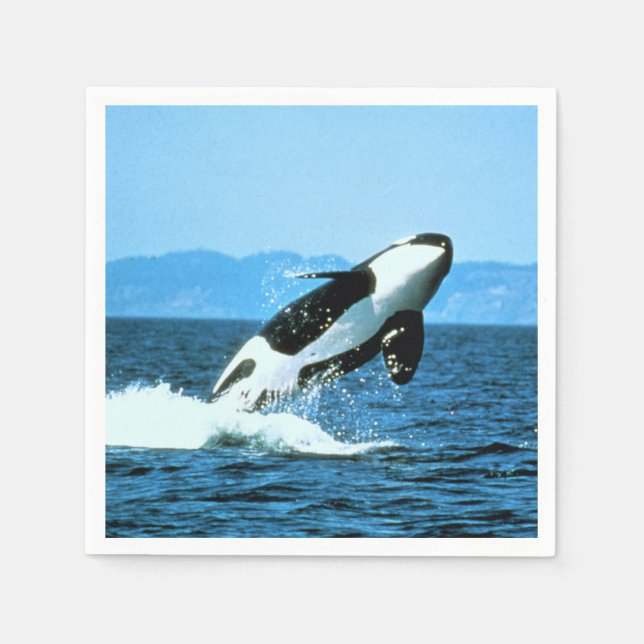 Killer Whale Napkin (Front)