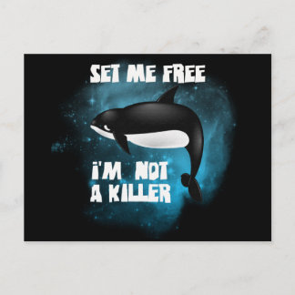 Killer Whale - Orca Postcard
