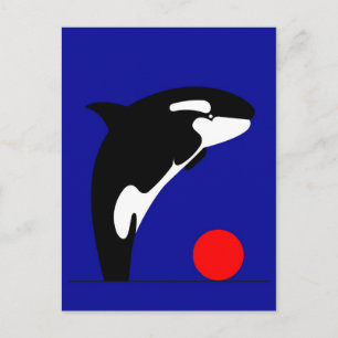 Killer Whale Postcard