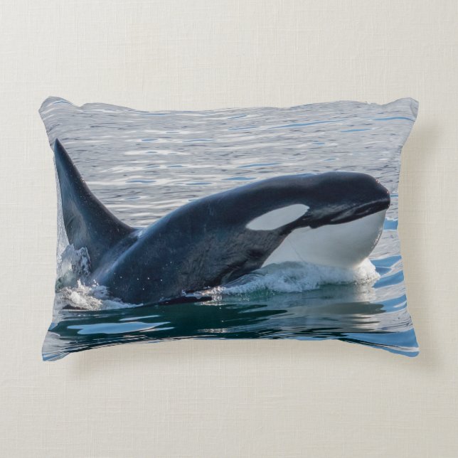 Killer Whale Throw Pillow (Front)