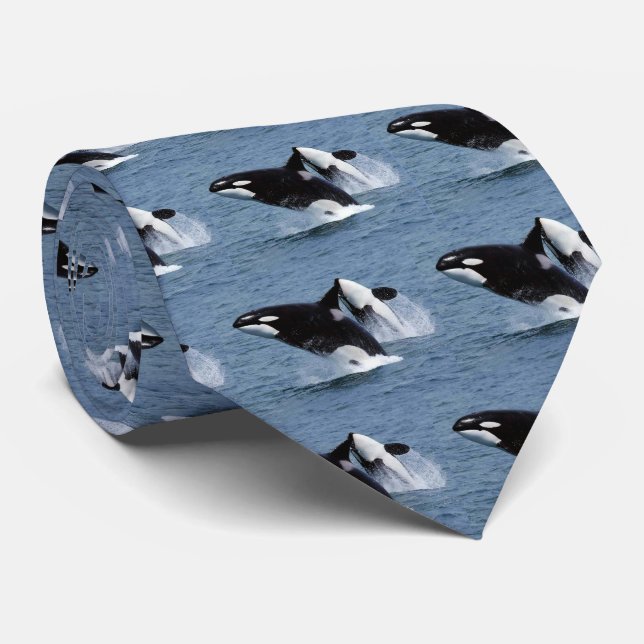 Killer whale tie (Rolled)