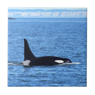 Killer Whale Tile