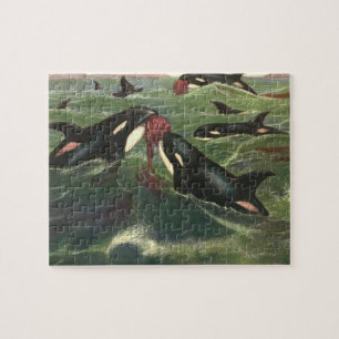Killer Whales and Orcas, Vintage Marine Mammals Jigsaw Puzzle
