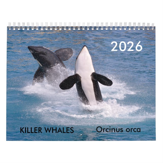 Killer whales calendar (Cover)