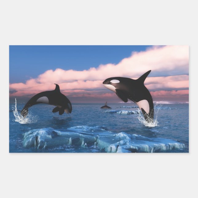 Killer Whales In The Arctic Ocean Rectangular Sticker (Front)