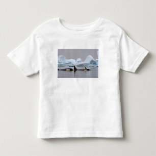killer whales (orcas), Orcinus orca, pod Toddler T-Shirt