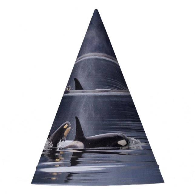 Killer Whales Party Hat (Front)