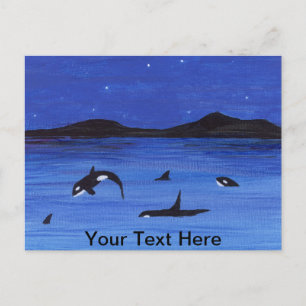 Killer Whales Postcard
