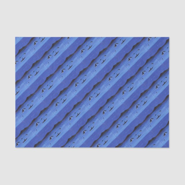 Killer Whales Tissue Paper (Front)