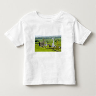 Killkenny, Ireland. The dramatic Spectacle of Toddler T-Shirt