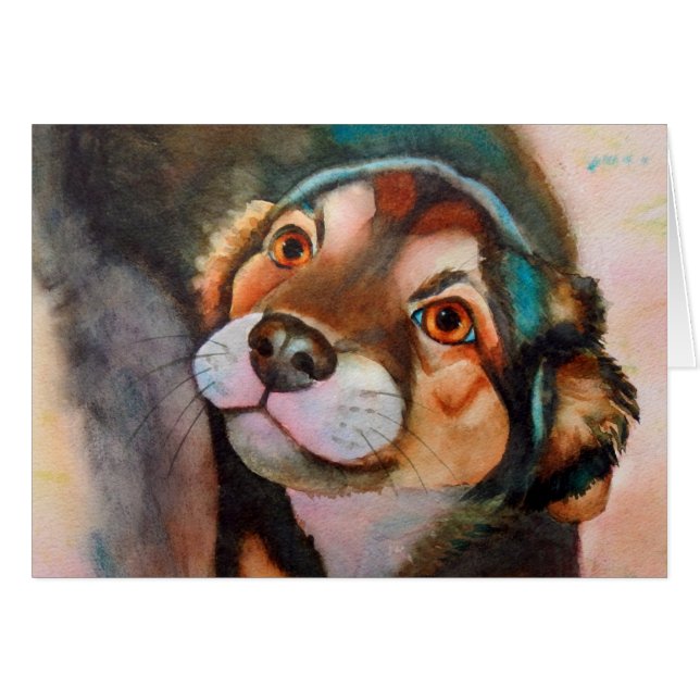 Kimba,Shepherd Terrier Mix (Front Horizontal)